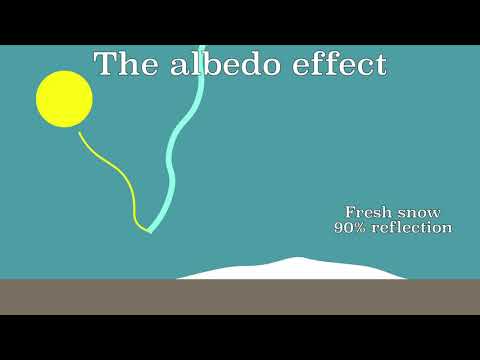 The albedo effect: The influence of feedback mechanisms in Climate Change