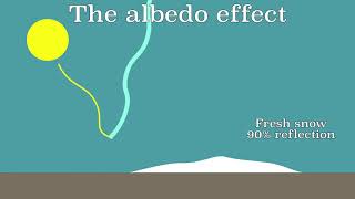 The albedo effect: The influence of feedback mechanisms in Climate Change