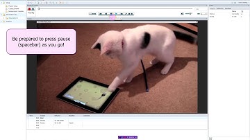 Rough and quick intro to Noldus Observer