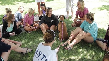 Pi Phi Rush Video Drury University 2015 Official