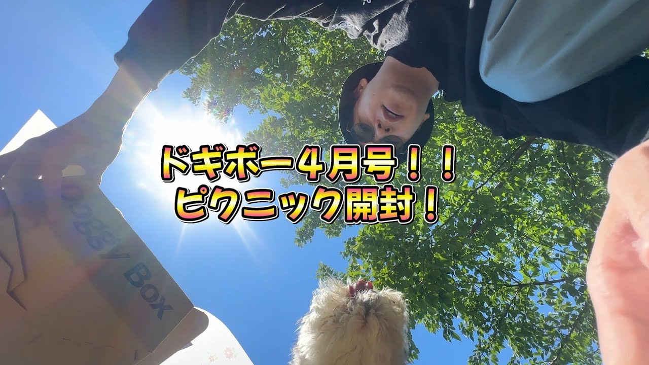 ドギーボックス4月号！最高の天気なのでピクニックしながら開けてみた！！