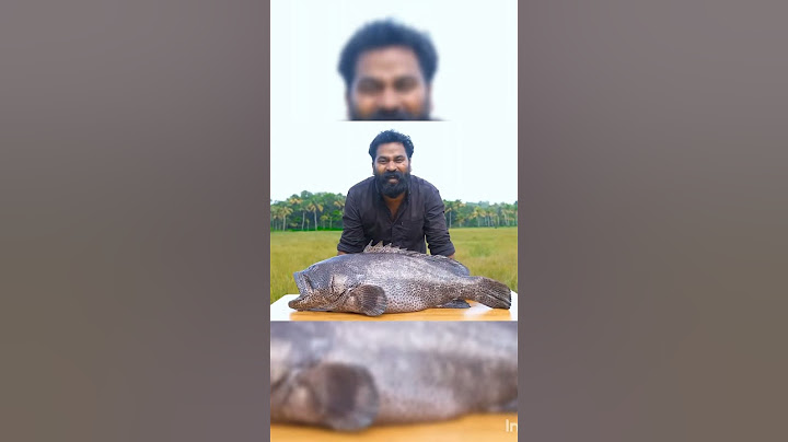 Giant Hamour Mud Hole Recipe | ញ ៣ കുഴിയിലിട്ട് ചുട്ടാലോ | M4 TECH | #kerala #m4tech #newviralvideo