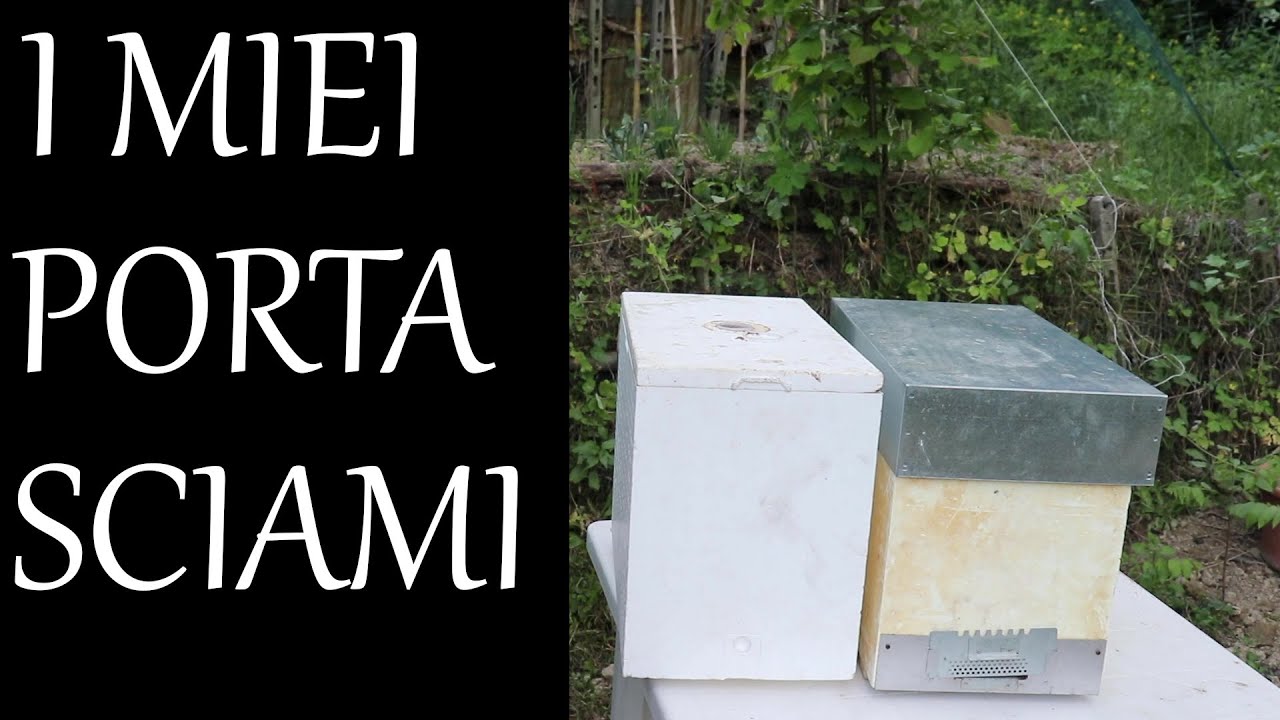 vlog#12   I miei portasciami