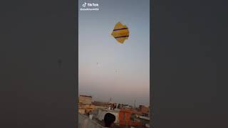 Flight Of A 6 Tawa Guddakite Patangbaz I Basant Kiteflying