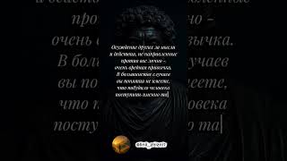 https://t.me/linii_zhizni7 #стоицизм #философия #мотивациянауспех