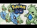 HIER GIBT ES LARVITAR, PUPITAR UND DESPOTAR POKÉMON GO DEUTSCH #243