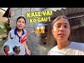 Kale vai ko gau pugera feri pokhara farkiya   boini le flim herera aayo  roshan vlogs