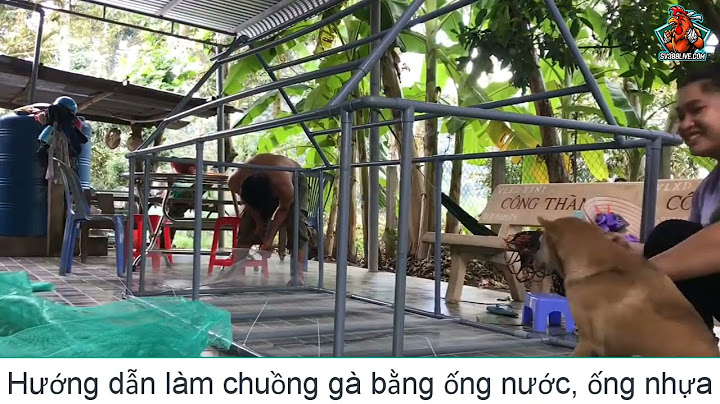 Hướng dẫn làm chuồng gà bằng ống nhựa