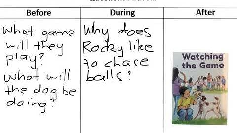 Before, during and after reading questions