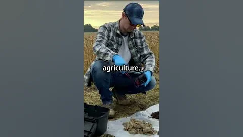 Emerging Contaminants in Water-Soil-Plant Systems #soil #sciencefather #researchers #farm #farming