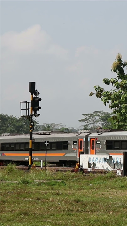 Train passes the rural station  #railfans #railway
