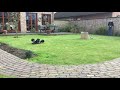 Traxxas erevo 20 doing backflips and front flips