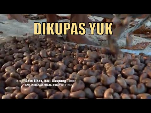 RESEP dan Tips Membuat Kacang Mede goreng dijamin 100% renyah, enak, dan gurih, cocok dijadikan kue . 