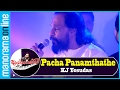 Pacha Panamthathe, Nottam | KJ Yesudas | Jayaragangal | Manorama Online Mp3