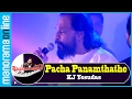 Pacha Panamthathe, Nottam | KJ Yesudas | Jayaragangal | Manorama Online