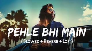 Pehle Bhi Mai Lofi (Slowed And Reverbed) | AA Lofi Songs|| Animal Movie Song #lofi #lofisong