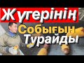 Жүгері собық качан турауға арналған әмбебап (универсал)2 в 1 дробилка