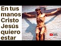 En tus manos Señor Jesús pongo mis ilusiones y mis anhelos