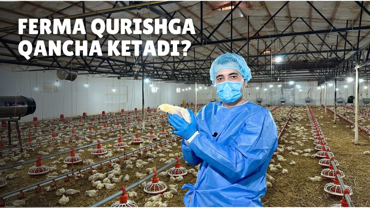 Bu Akamiz Hamma Sirni Ochdi | Ferma Qanday Qurilishi Kerak?