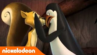 Les pingouins de Madagascar | L'impossible situation | Nickelodeon France