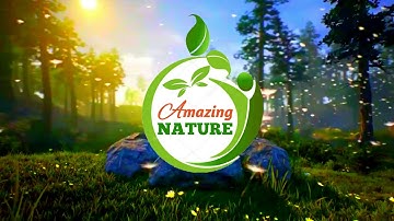 Amazing Nature YouTube channel Intro | Beautiful Nature intro for YouTube