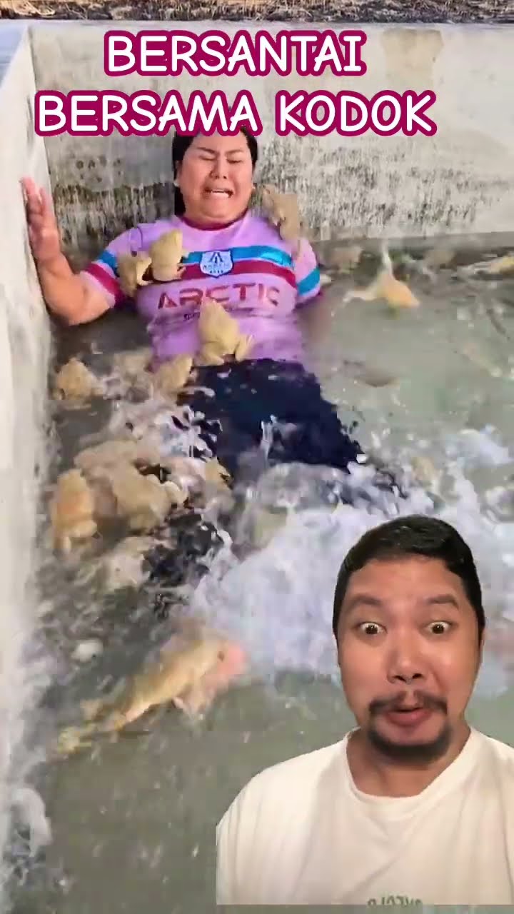 BERSANTAI BERSAMA KODOK!!!?? #comedy #lol #laugh #shorts