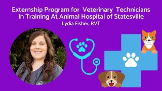 Lydia's Externship with AHS 2 by Animal Hospital of Statesville 17 views 2 months ago 3 minutes, 48 seconds