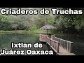 Video de Ixtlán de Juárez