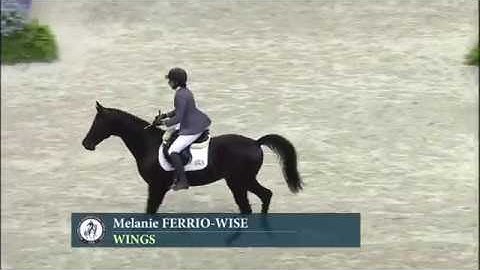 Melanie Ferrio-Wise and Wings - Bridleless at WIHS