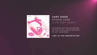Lady Gaga - Stupid Love (U-GO-BOY Remix)