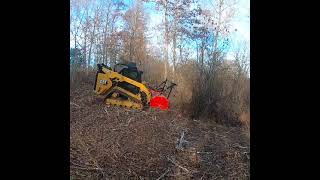 Cat 299D3 XE running our Fecon BH074SS head mulching up some overgrown growth.
