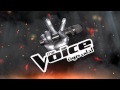 عبد العظيم الذهبى The Voice