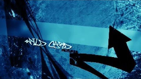 Wild Card Studios Intro test