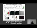 Modeling Endothelial Dysfunction in LMNA-related Dilated Cardiomyopathy