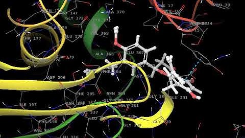 Molecular Dynamic Simulation Trajectory Video