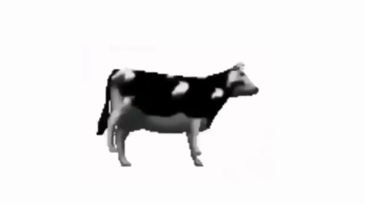 Polish - YouTube