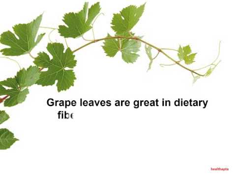 Health Benefits of Grape Leaves