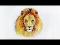 Как нарисовать льва акварелью Erich Krause how to draw a lion | Art School