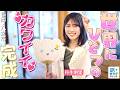 【丹生明里in福岡・八女市】バス旅で挑戦!八女の伝統工芸作り〈ロコレコ〉