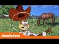 Bob Esponja | Canción de Tejas | Nickelodeon en Español