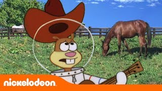 Video thumbnail of "Bob Esponja | Canción de Tejas | Nickelodeon en Español"
