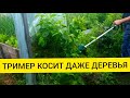 НЕ ПОВТОРЯТЬ ! ТРИММЕР КОСИТ ДАЖЕ ДЕРЕВЬЯ НА ЗАРОСШЕЙ ДАЧЕ ! ОСТОРОЖНО, ГРОМКИЙ ЗВУК