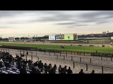 ジャパンカップカップ2020現地観戦本馬場入場