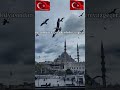 Bazı şeyler kısmetin ötesindedir.🇹🇷❤️🇹🇷❤️ #bayrak #türkaskeri #keşfet
