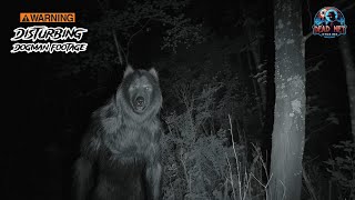 7 Real German Dogman Sightings: Berlin to the Black Forest