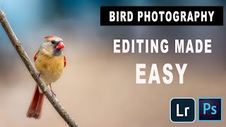 Learn How to Edit Bird Photos with Lightroom: Unbelievable Transformations! screenshot 4