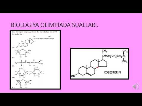 BİOLOGİYA OLİMPİADA TEST SUALLARI - 3