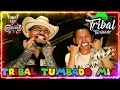 ( Mix )Tribal Tumbado Mega Mix 2023 Para Bailar - Lo Mas Chingon Del Tribal Mix