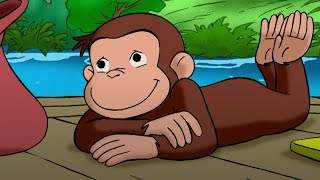 CHC  Curiosidades do macaco George
