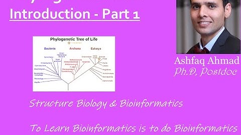 Phylogenetics Basics - Part 1 - English